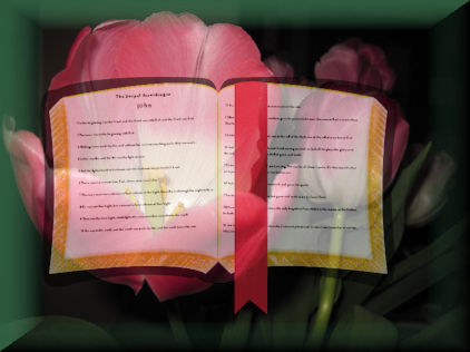 Tulip Bible